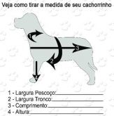 Veja como medir seu cão: