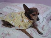 Roupas de inverno.