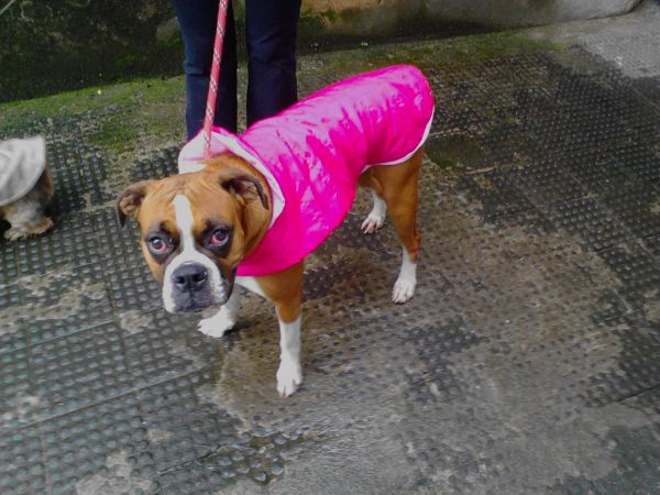 Fofa esta Belinha