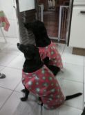 Nina e Princesa vestem vestido de soft.