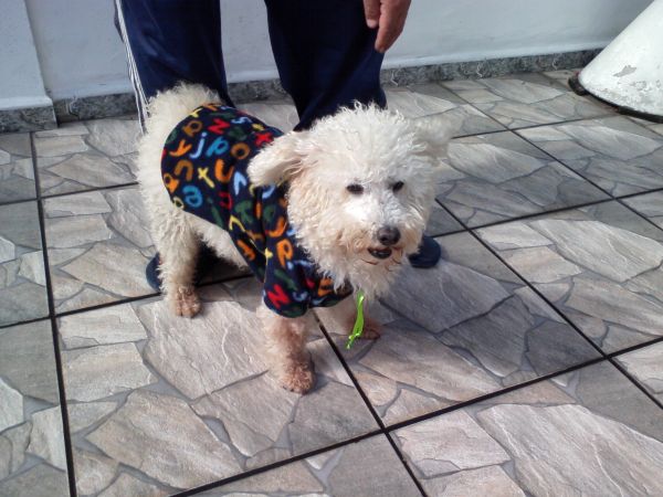 Fredy veste agasalho de soft.