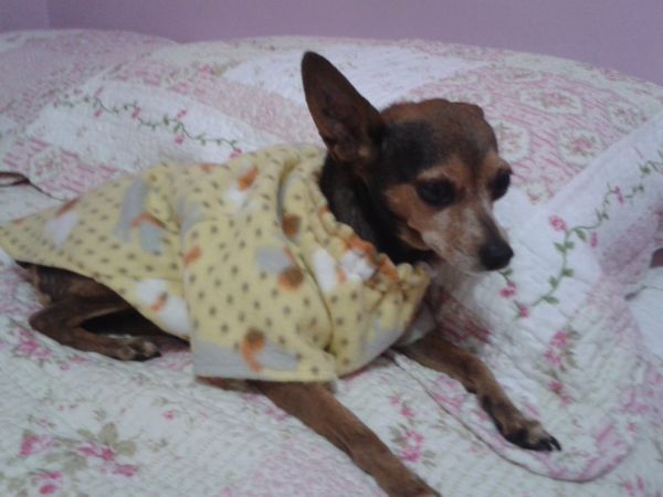 Roupas de inverno.