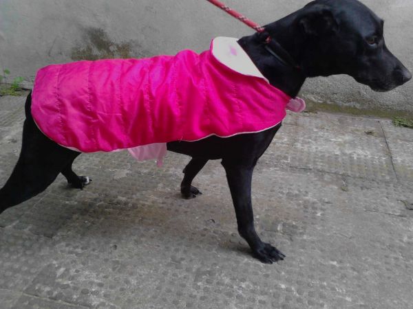 Capa de chuva