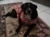 Nina veste agasalho de soft.