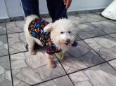 Fredy veste agasalho de soft.