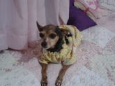 Miucha veste agasalho de soft.